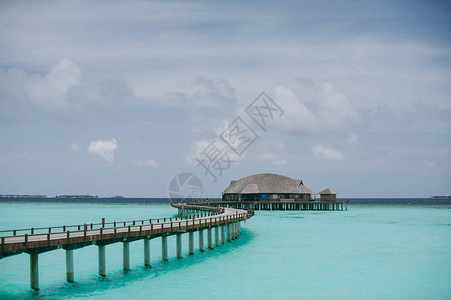 马尔代夫美丽的白沙滩有棕图片
