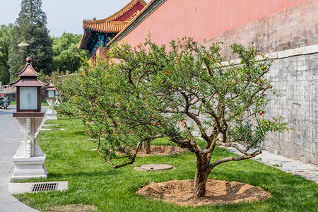 北京紫禁城或Gugo图片