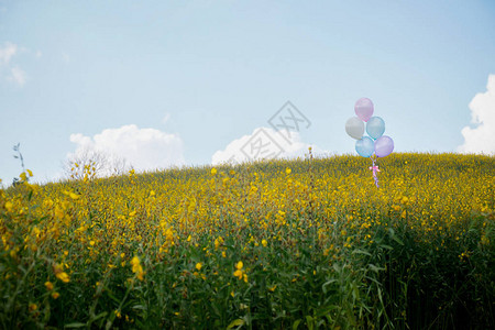 夏天用黄花园的爱概念做的热气球反向过滤效果图片