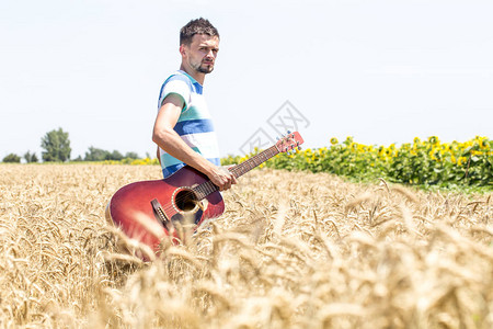 音乐和自然的概念在小麦田的户外听声吉他一个年轻人手图片