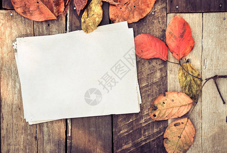 美丽的枫叶在老式木制背景与旧纸边框设计复古色调秋季背景图片