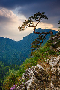 波兰皮涅尼山的索科利卡峰顶端有一图片