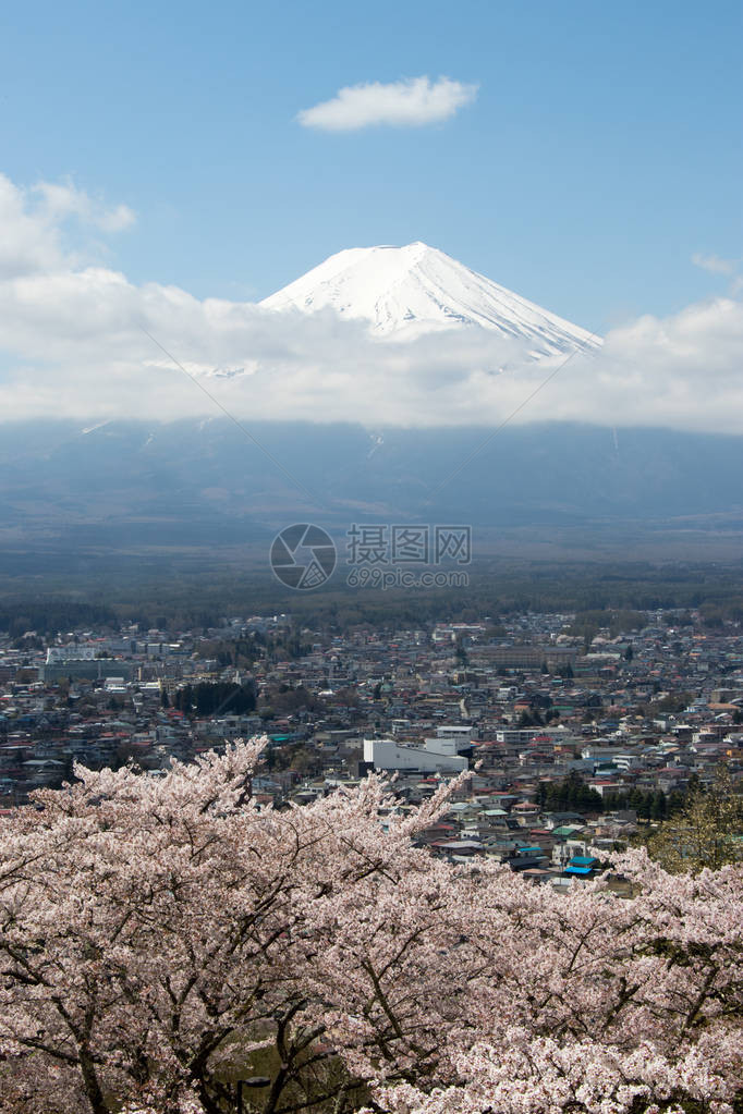 富士山是日本著名的地标白云和樱花作为蓝天背景的前方之地在蓝图片