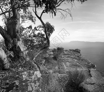 从格拉米安公园的山顶上以黑白两色划成一片漆黑的澳大利图片