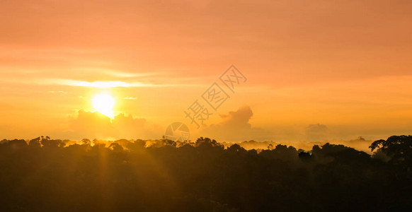 在巴西亚马逊河边的热带雨林中欣赏日落图片