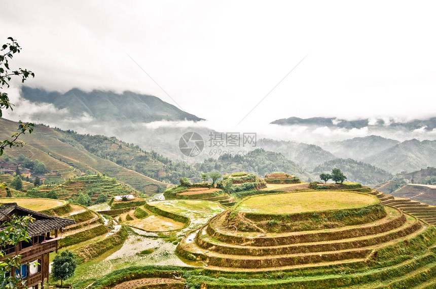 龙胜梯田景观图片