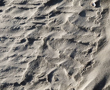 湿沙背景纹理中的涟漪沙滩背景图片