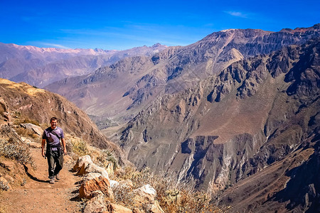 在秘鲁南美洲Colca峡谷山悬崖边的狭窄道路上独自图片