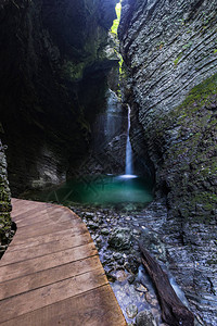 斯洛文尼亚朱利安阿尔卑斯山的Kozjak瀑布旁的森林图片