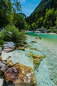 斯洛文尼亚索卡河的水晶般清澈的水背景图片