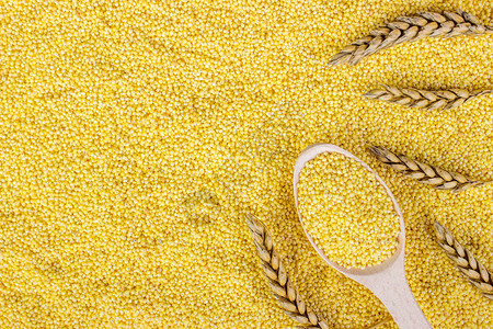 小麦和小麦穗的谷物顶视图图片