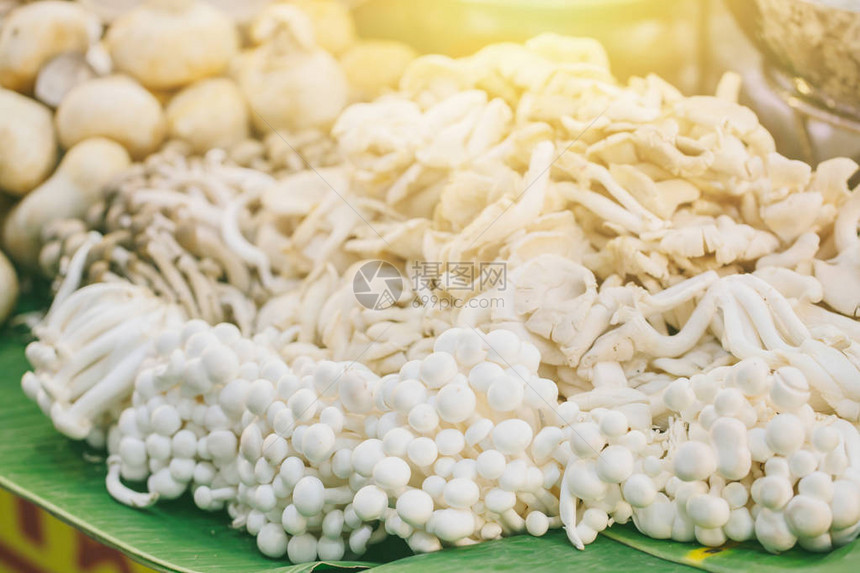 混合的日本蘑菇生来好健康的食品大图片