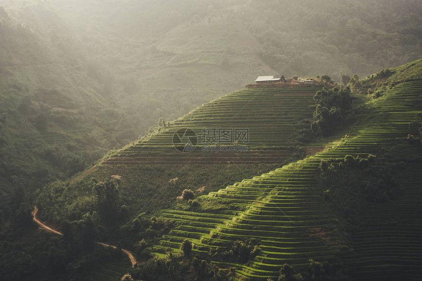 日落和农业绿色稻田和水稻梯田在SAPA老街木仓柴越南的山上大部分地区是水稻梯田图片