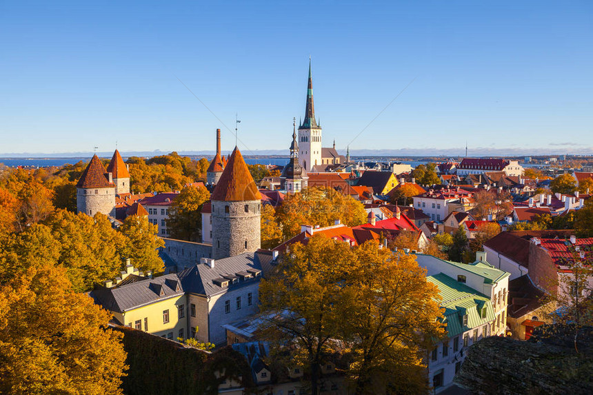 爱沙尼亚的老城塔林阳光明媚的秋图片