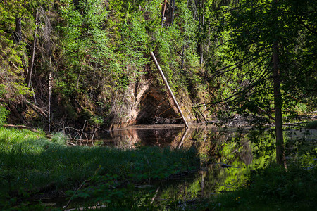 Gaugja河绿岸的景象与水中的反射图片