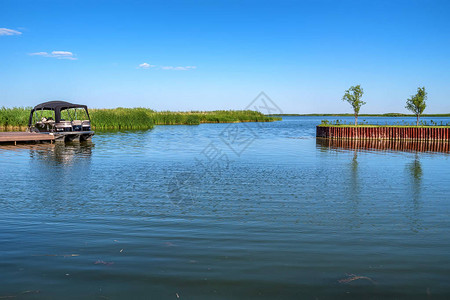 夏季河流风景甘蔗和小图片