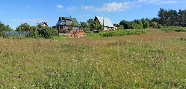 一个典型的立陶宛夏季草地开花草甸在森林附近被遗忘的无名村庄七月几图片