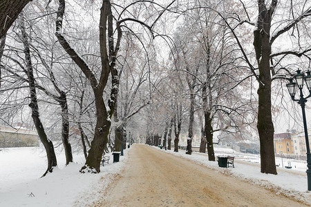 在靠近城堡的公园小巷里下雪图片