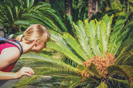 女观光客仔细观察云南植物园中许多热带植物之一图片