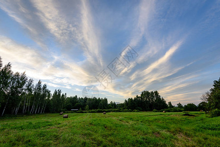 夏季的乡村田野森林以背景为本日落时图片