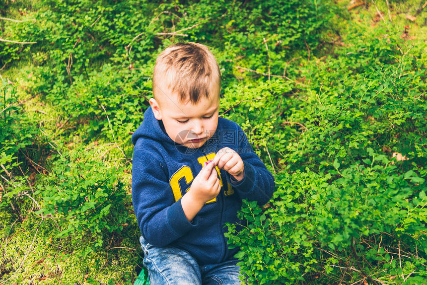 小孩在森林里吃蓝莓图片
