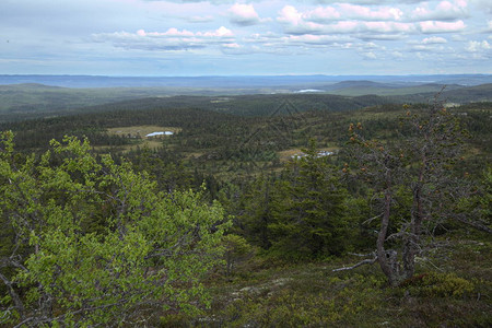 Storvarden对瑞典Dalarna的Tandoevala自然保图片