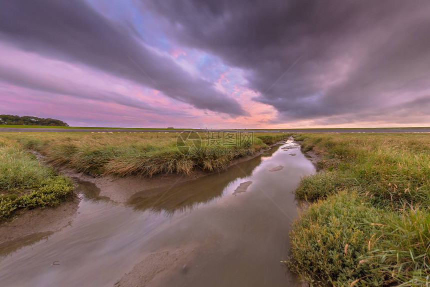 荷兰弗里斯兰Waddensea的潮汐沼泽平原图片
