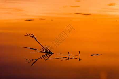草原剪影倒映在水中帕夏河上的夏日落背景图片