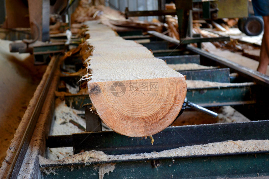 锯木厂在设备锯木厂机锯中加工原木的过程锯木板上的树干木锯末工作锯木图片