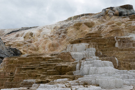 Mammoth温泉黄石图片