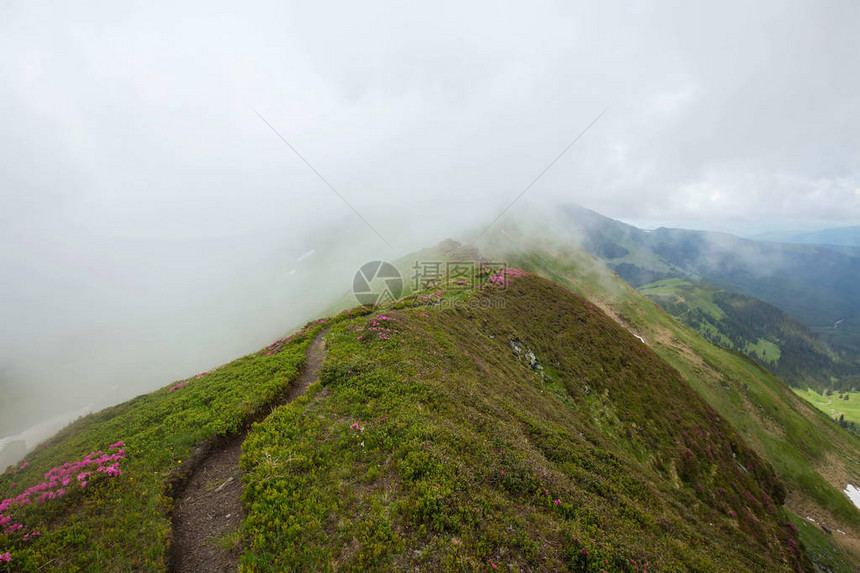 有雾的山路风景图片