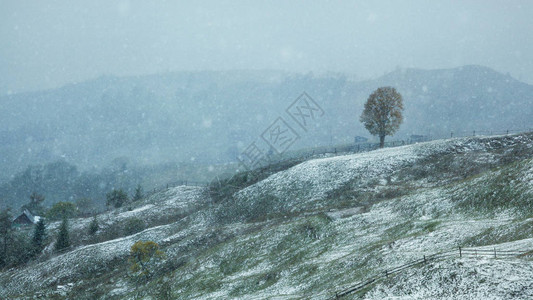 喀尔巴阡山脉的第一场雪图片