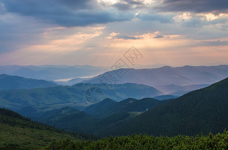 在阳光下发光的树林的壮丽景色戏剧和风景如画的早晨场景地点图片