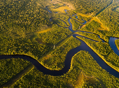 亚马孙河流域在巴西的亚马逊雨林背景