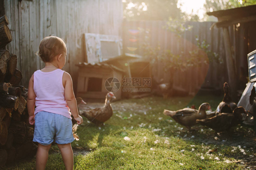 儿童站在农场后院的背影和阳光下图片