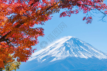 日本富士山秋天多姿彩图片