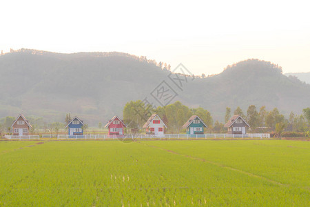 在农村的稻田前山日出或日落时间与复制图片