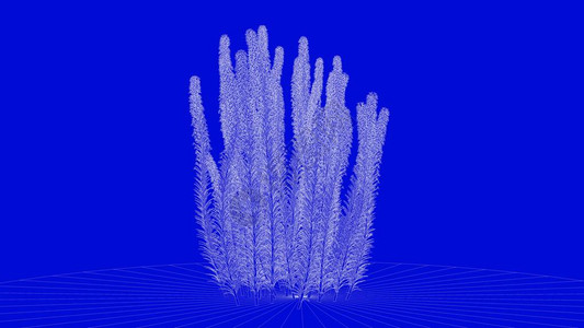 蓝色背景上白色轮廓树的3d渲染图片
