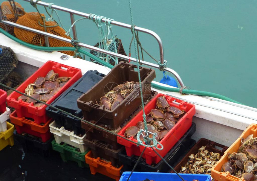 船上装满螃蟹的箱子的照片图片