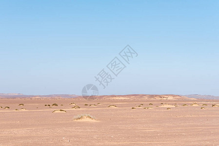 纳米比亚Skeleton沿海地区的ANamib沙漠景观图片