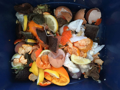 装满家用食品废物的集装箱图片