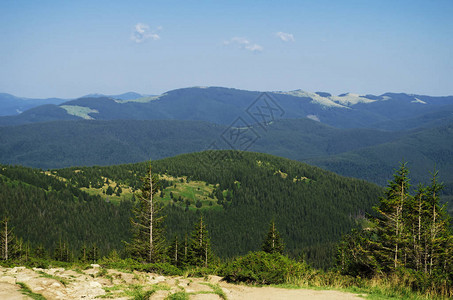 喀尔巴阡山脉顶端美丽的风景和对蓝天空的绿林图片