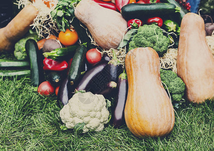 蔬菜秋季收获有机农民食品市场在当地露天市场出售的新鲜蔬菜图片