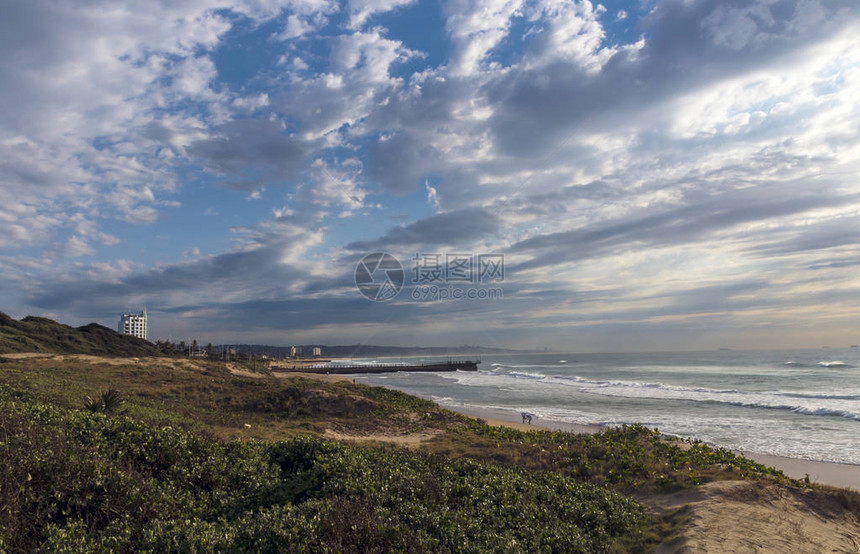 南非德班海岸景观平沙滩海码头和蓝云天空的植被图片