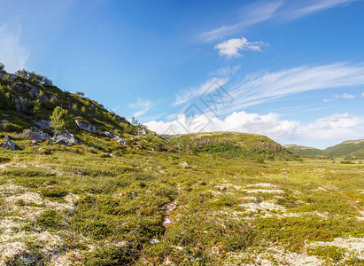 山地苔原的北部山丘图片