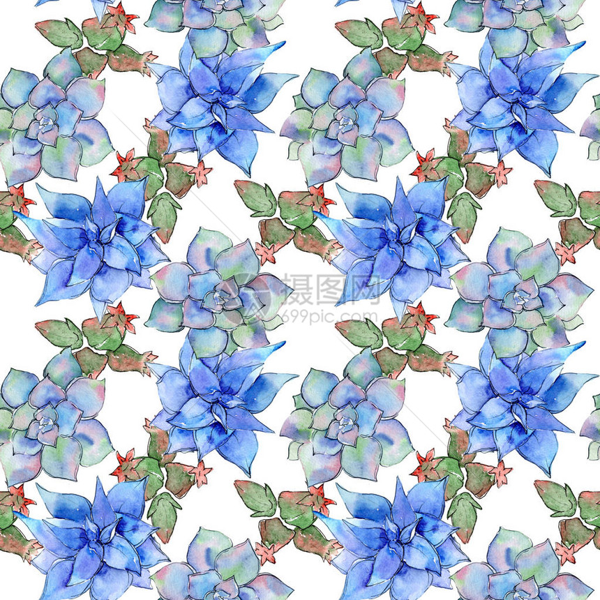 水彩风格的热带仙人掌叶图案背景纹理包装图案框架或边框图片