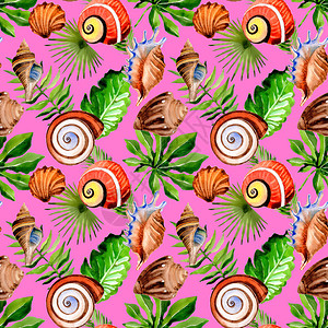 热带夏威夷将棕榈树和海壳形态以水彩色风格叶水瓶野花为背景纹理包装图案图片