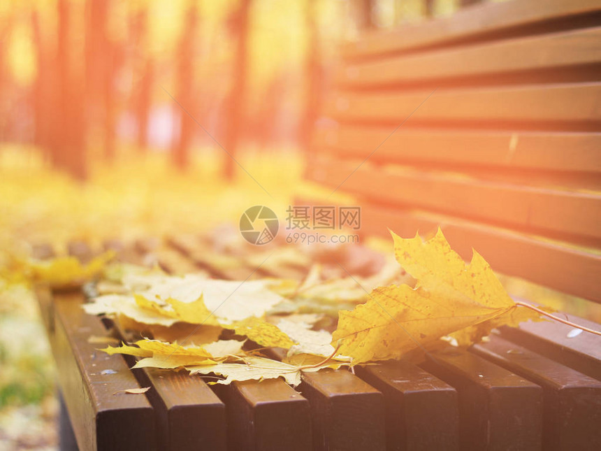 秋天树叶在树林的长凳上红和橙图片