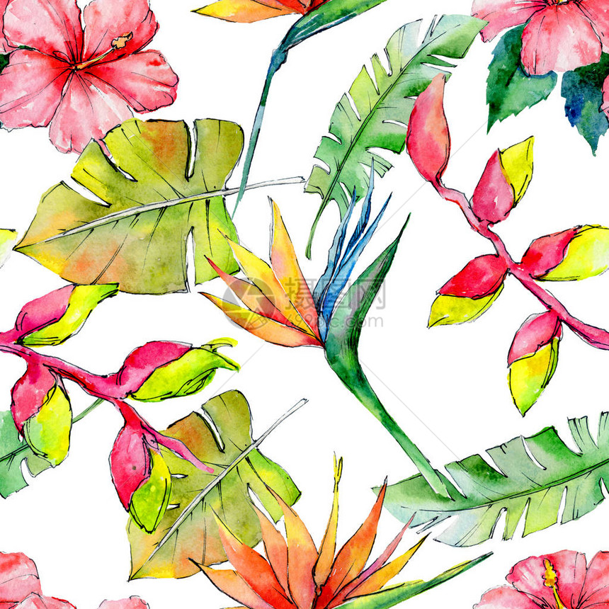 热带夏威夷树叶形态以水彩色为风格Aquarelle野花用于背景纹理包装图案图片
