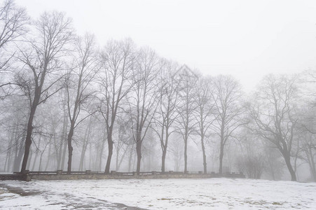 寒冷的冬季城市公园喷雾图片